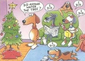 christmas_tree_dog